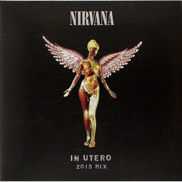 nirvana in utero 2013 mix vinyl album cover art print poster wall decor 18x16 inches