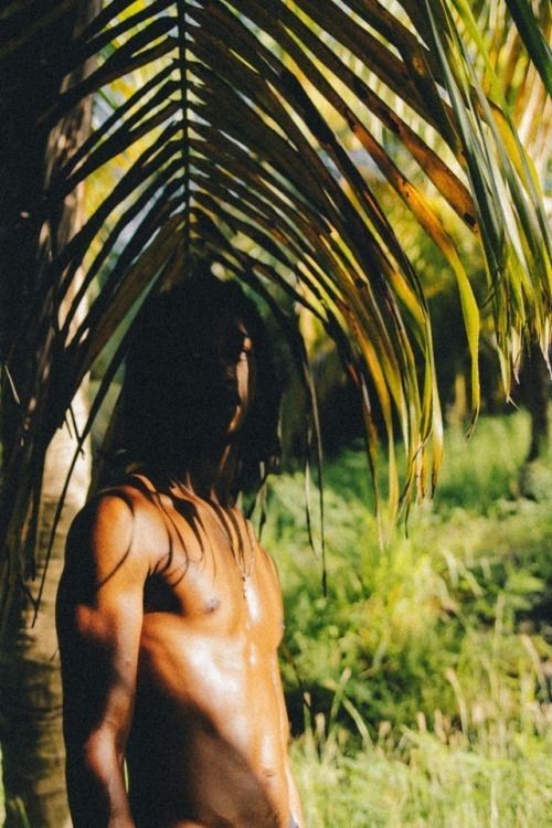 a shirtless man standing under a palm tree