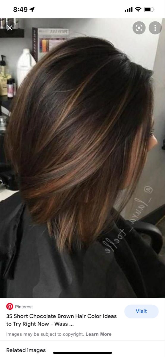 Short Chocolate Brown Hair, Chocolate Brown Hair Color Ideas, Short Dark Brown Hair, Dark Ombre Hair, Rambut Brunette, Brown Hair Color Ideas, Chocolate Brown Hair Color, Brown Hair Color, Chocolate Brown Hair