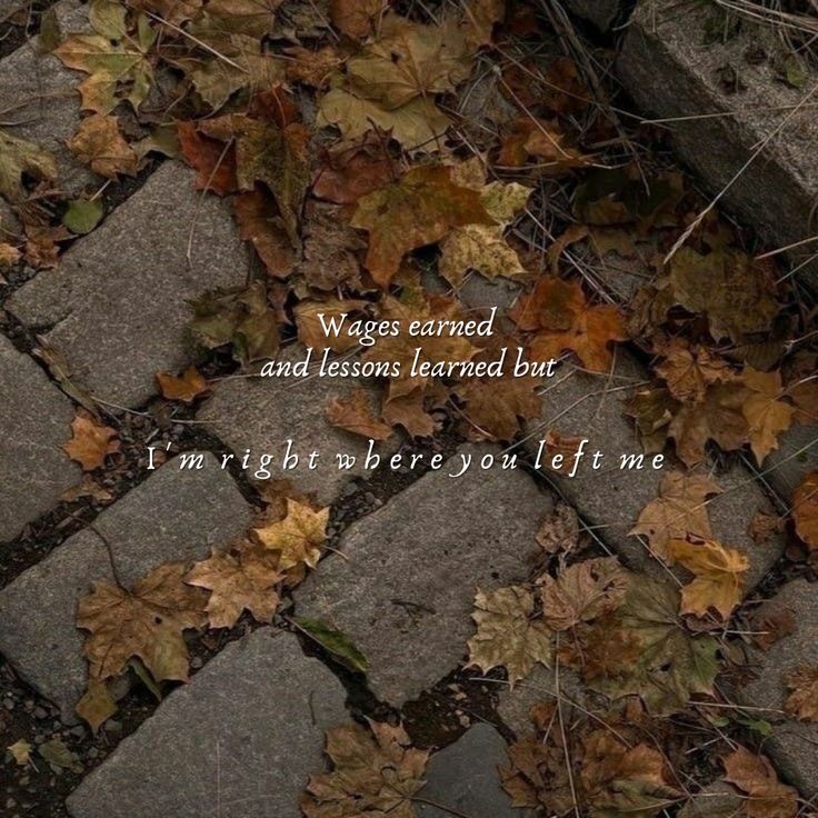 a brick walkway covered in leaves with a poem written on it