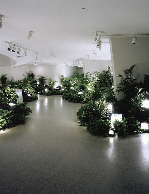 an indoor space with plants and lights on the floor, all lit up by lamps