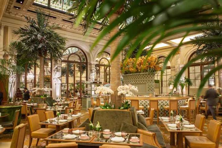 an indoor dining area with tables, chairs and potted plants in the middle of it