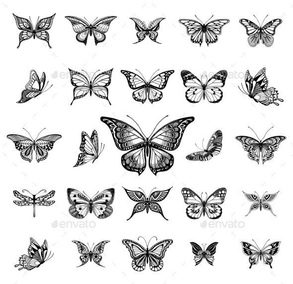 a collection of butterflies in black and white - animals characters