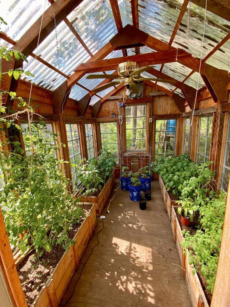 an indoor greenhouse filled with lots of green plants