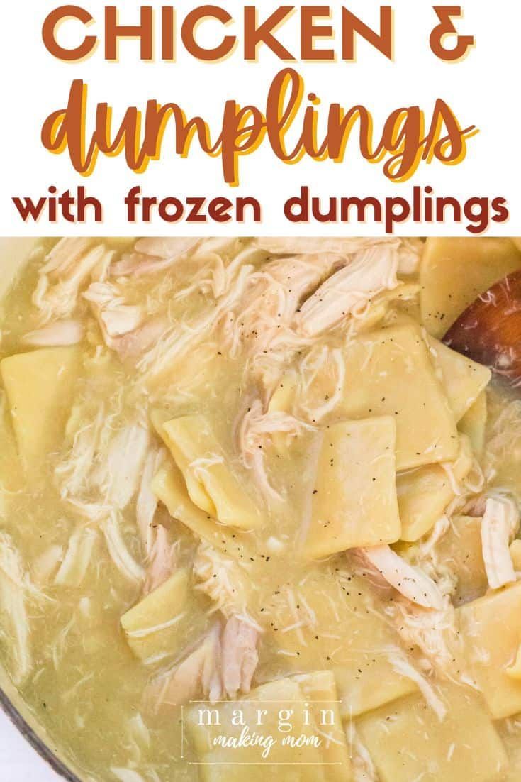 chicken and dumplings with frozen dumplings in a bowl