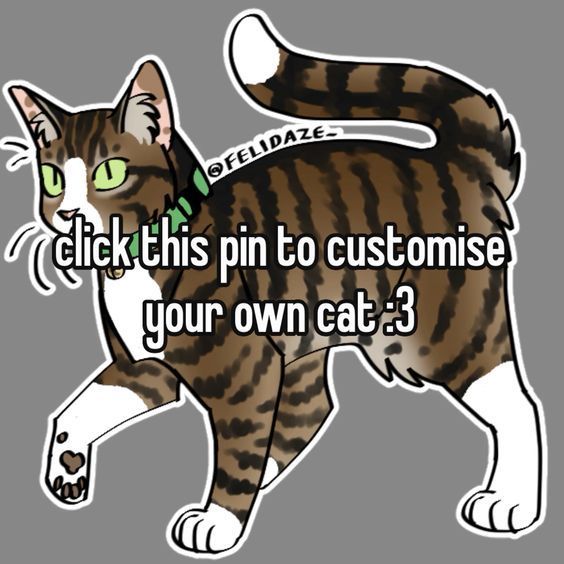 a cat with the caption click this pin to customise your own cat 3