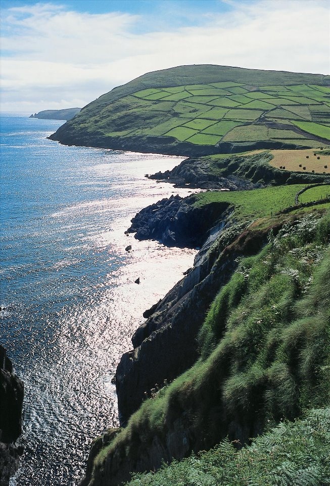 the coast is covered in lush green grass