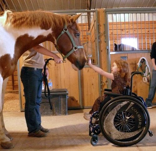 a woman in a wheel chair petting a brown and white horse with the caption