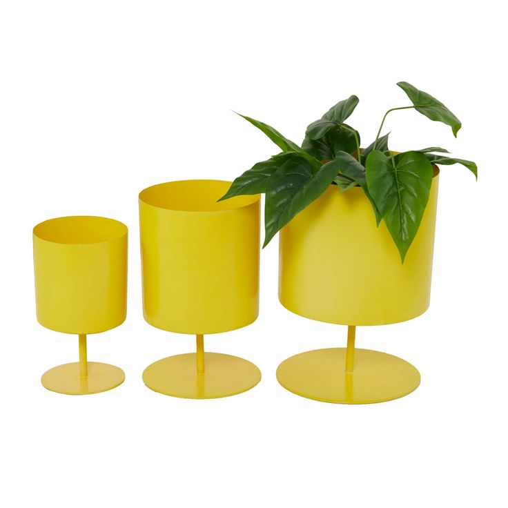 three yellow vases with plants in them