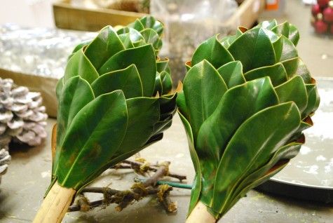 two large green plants sitting on top of a table