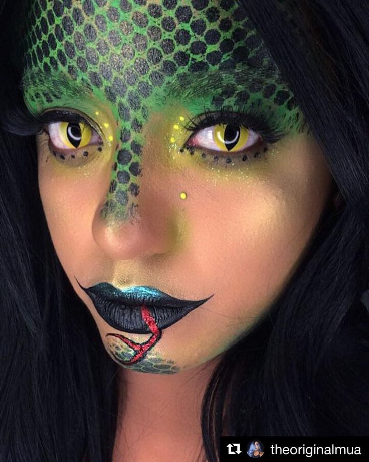 Snake Fancy Dress, Animal Makeup Jungle, Halloween Snake Costume, Snake Makeup Halloween, Snake Eye Contacts, Snake Halloween Makeup, Snake Eye Makeup, Animal Inspired Makeup, Snake Makeup Look