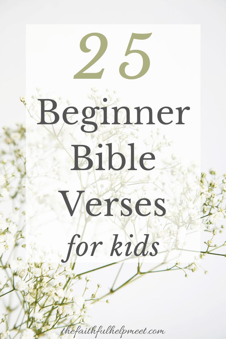 flowers with the words 25 beginner bible verses for kids on top of it