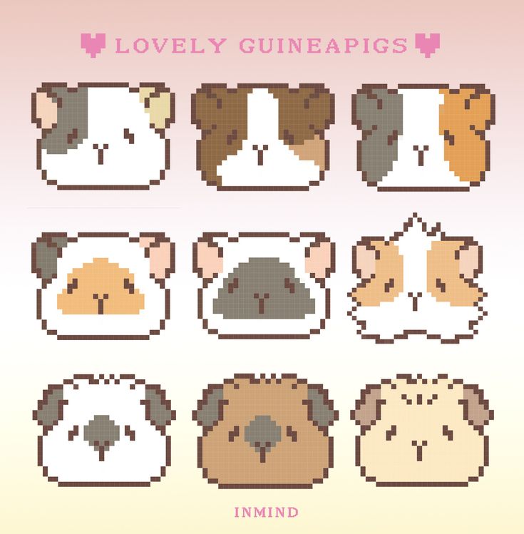 the different types of guineas are shown in pixel art