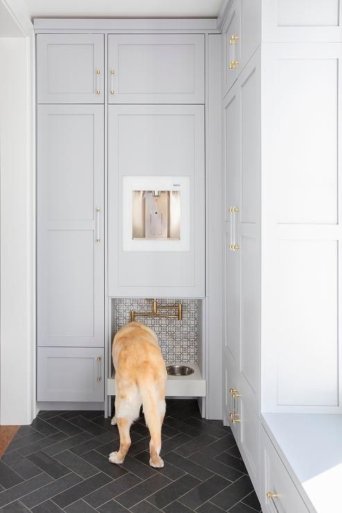 a dog standing in the middle of a kitchen with white cabinets and gray flooring