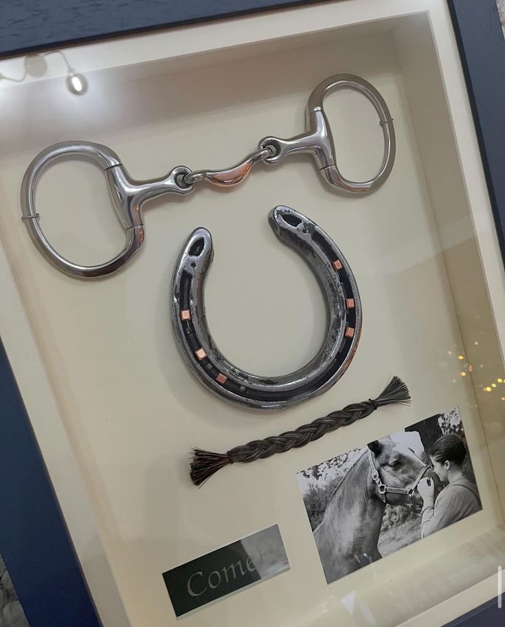 a display case with a horse shoe and rope