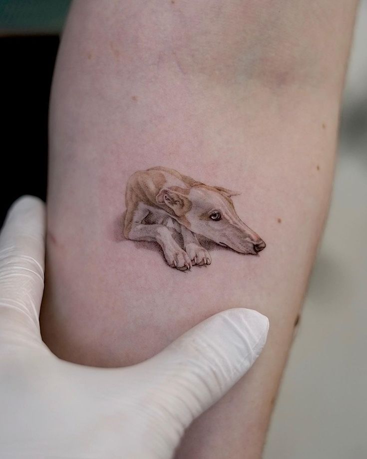 a person with a dog tattoo on their arm