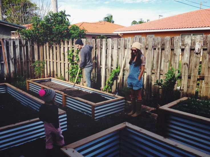 two people and a small child are working in the yard with raised beds on each side