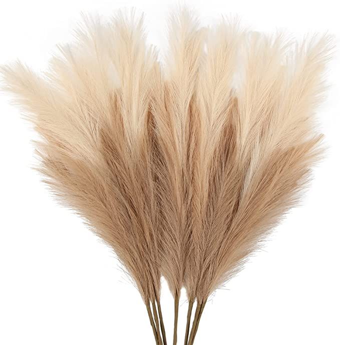 some very pretty dry grass on a white background