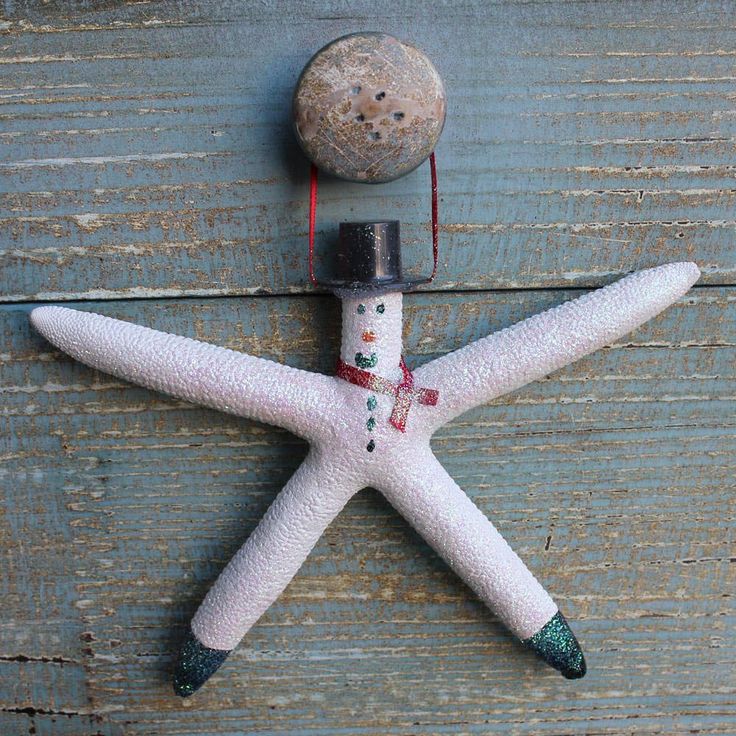 a white starfish laying on top of a wooden floor next to a stone ball