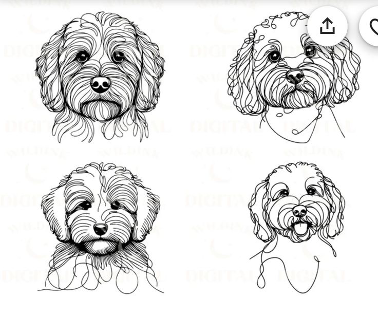 four different types of dogs with their faces drawn in line and on the bottom row