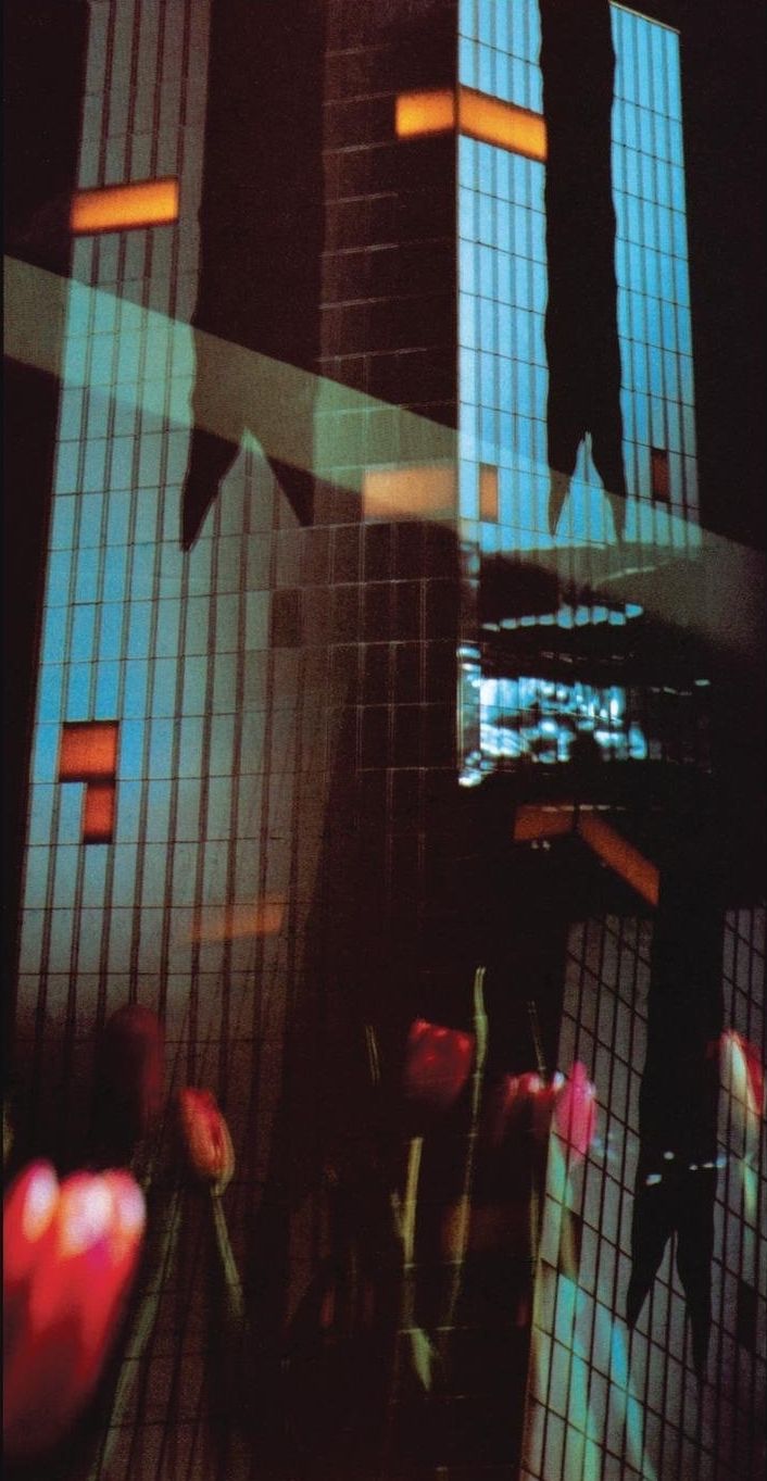 a person standing in front of a mirror with flowers on the floor and buildings behind them