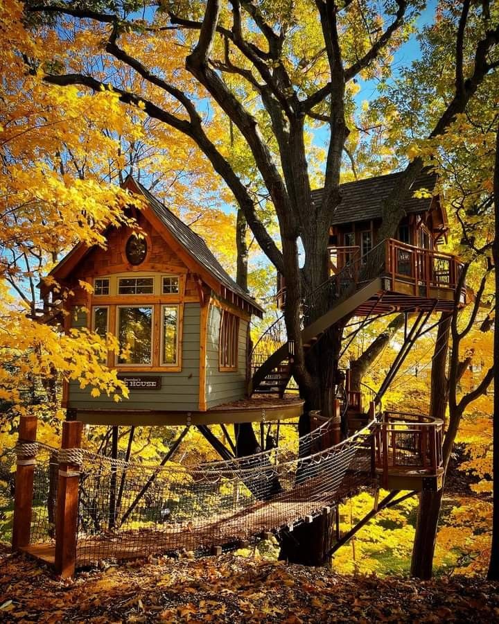 a tree house in the woods with a hammock