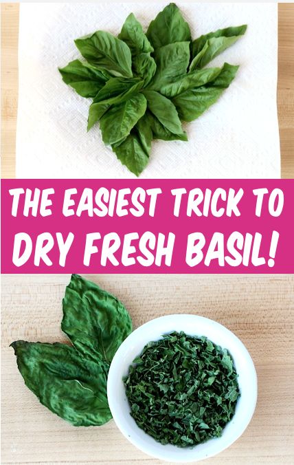 the easy trick to dry fresh basil