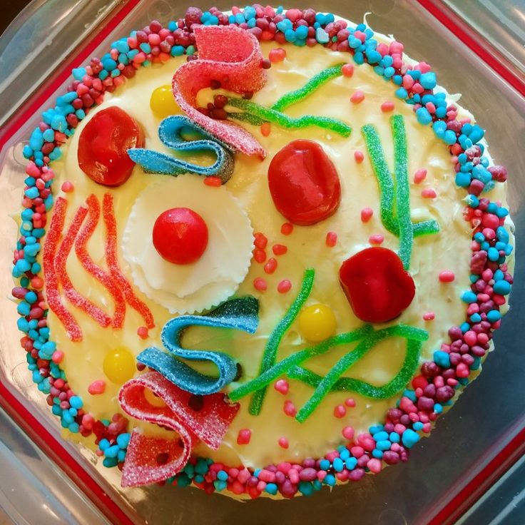 a birthday cake decorated with icing and candies