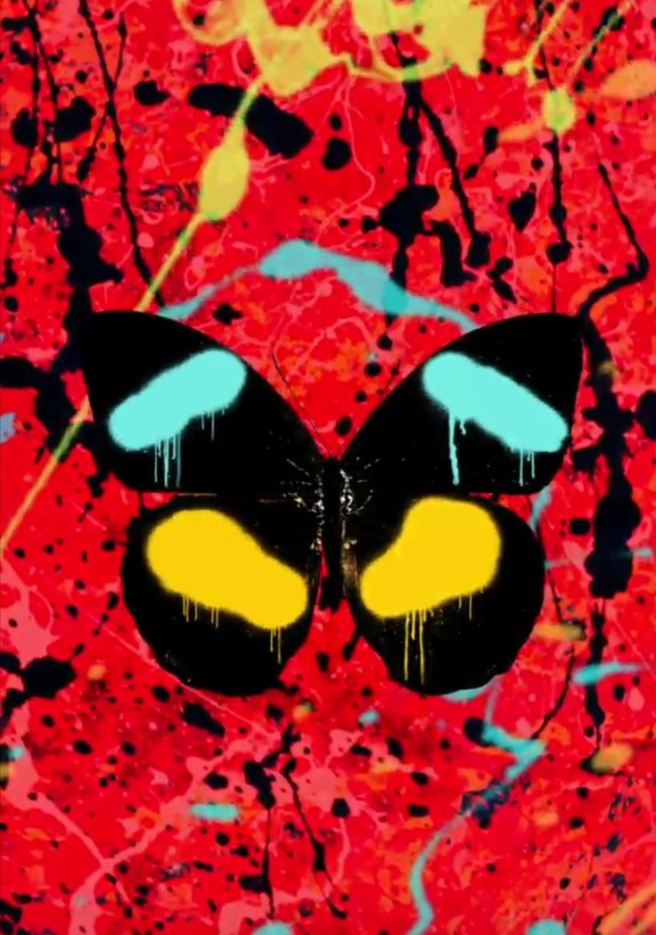 a butterfly with yellow and blue eyes on a red background that looks like paint splatters