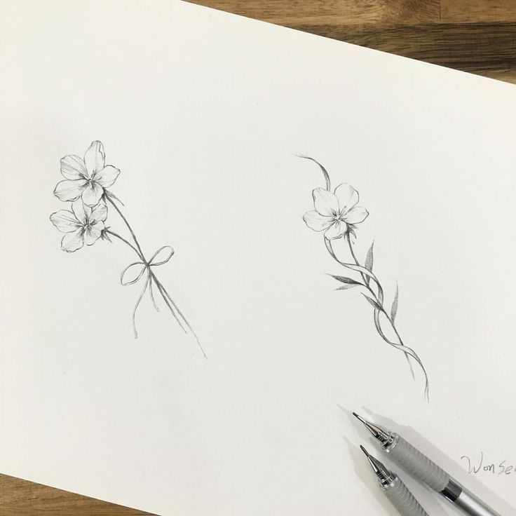 a pencil drawing of some flowers on a piece of paper