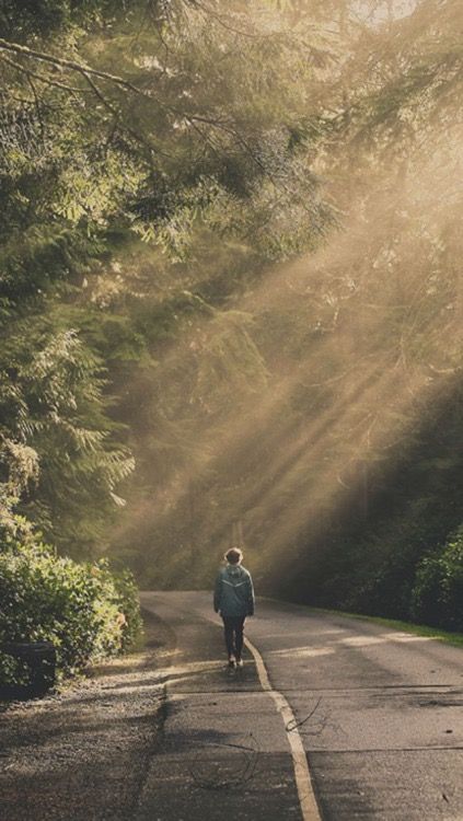 a person walking down the middle of a road with sunbeams coming through trees