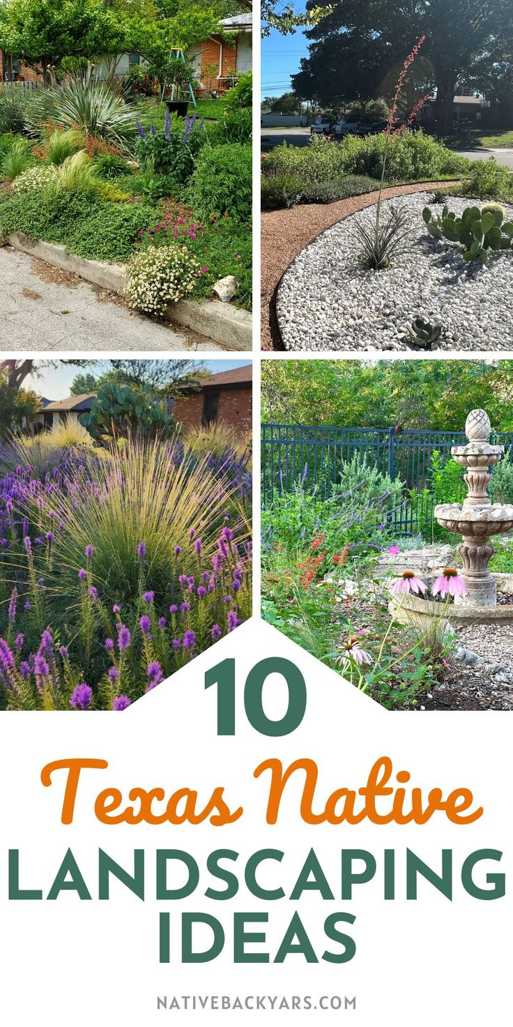 the top ten texas native landscaping ideas