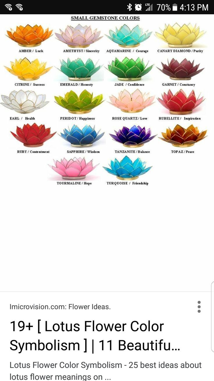 the lotus flower color scheme on an iphone screen, with instructions to choose which one