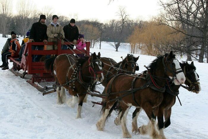 people are riding in a horse drawn sleigh