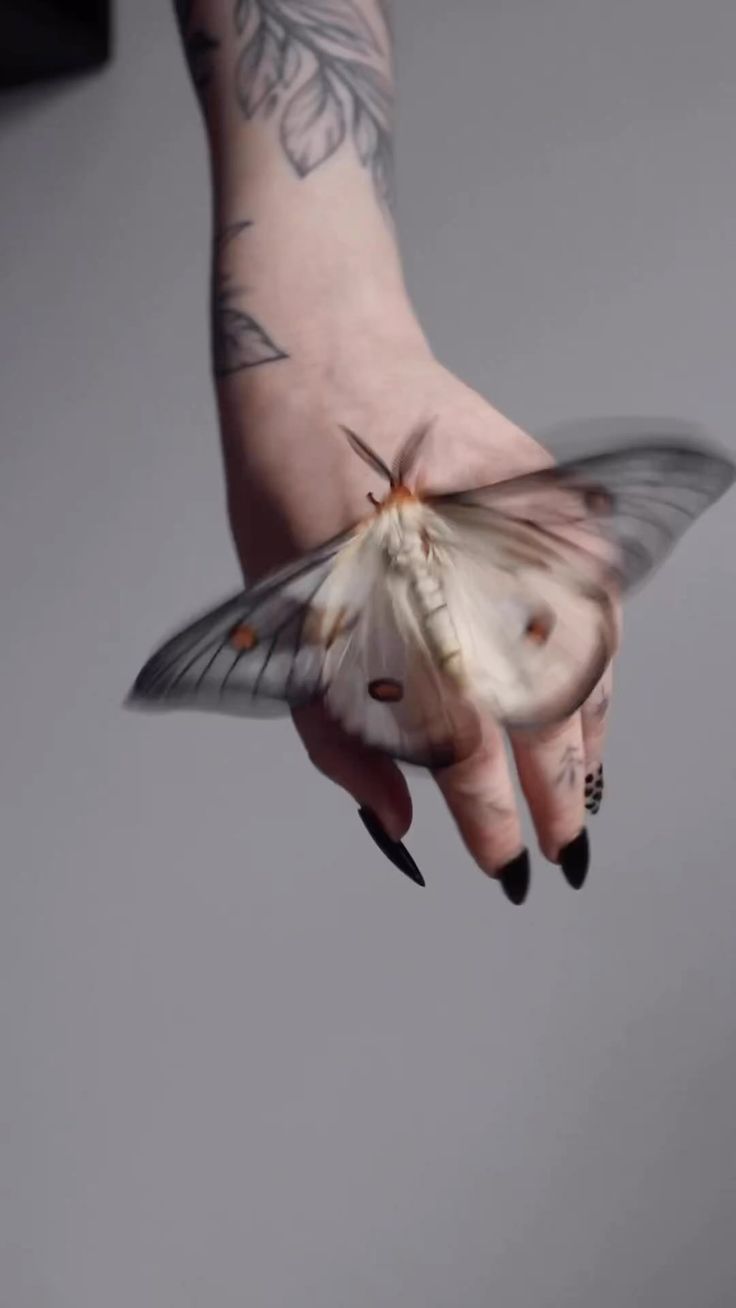 a woman's hand holding a white butterfly with black nails and tattoos on it