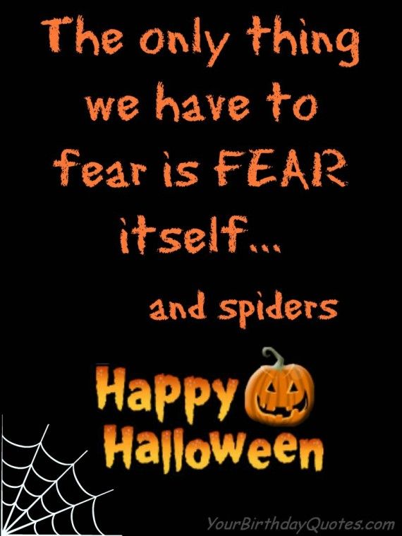 the only thing we have to fear is fear itself and spiders are happy halloween