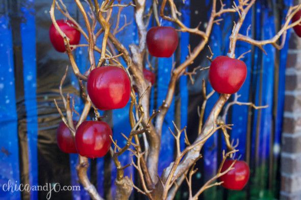 a small tree with red fruit on it in front of a blue wall and fence