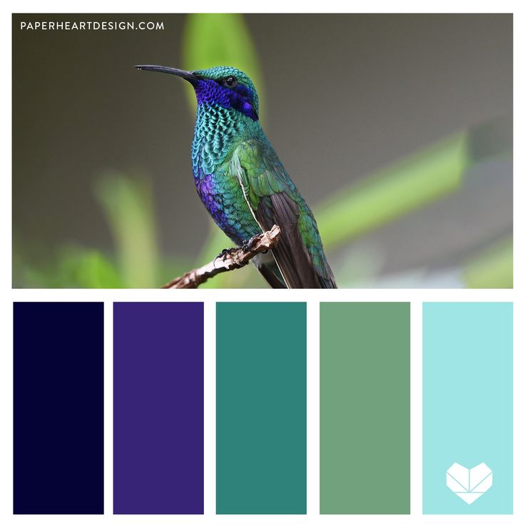 a bird sitting on top of a tree branch next to color swatches in shades of blue, green and purple