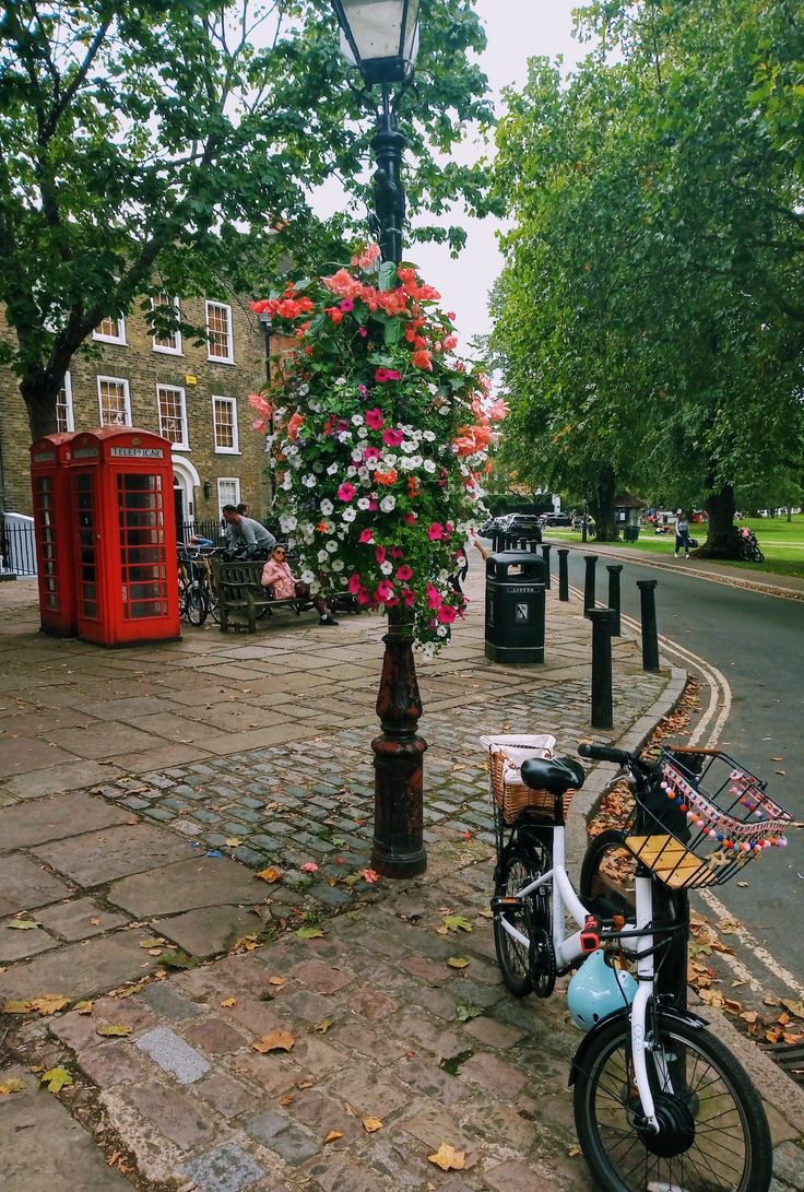 a bicycle parked next to a lamp post with flowers on it