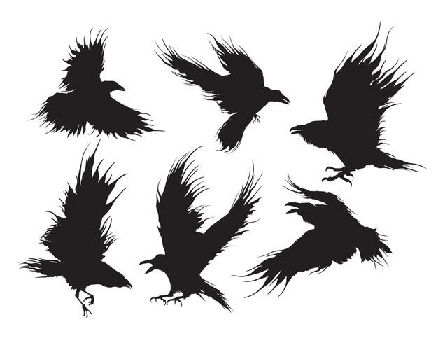 six silhouettes of birds flying in the air with their wings spread out and one bird is