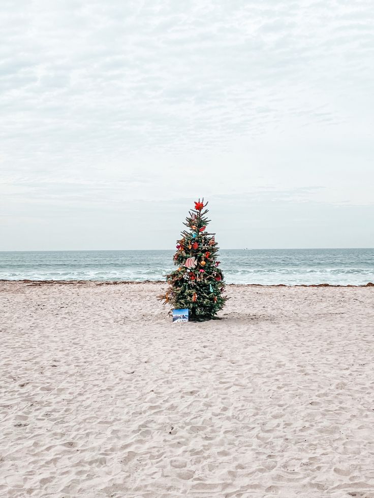 a small christmas tree is on the beach