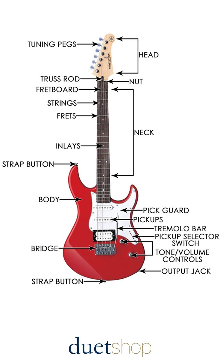 an electric guitar labeled in the body and parts on it's neck, with labels showing