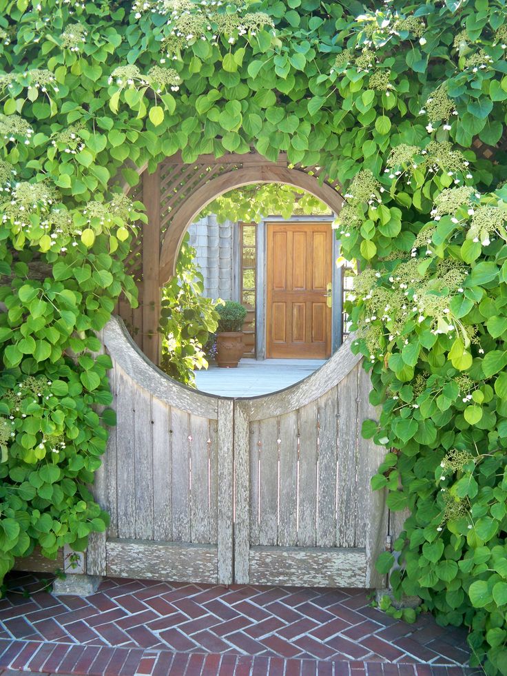 an arched wooden door surrounded by greenery