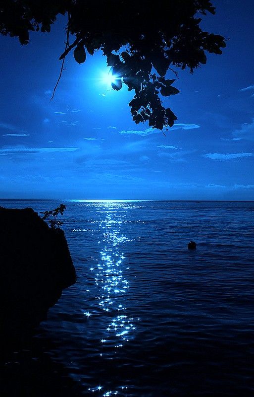 the moon shines brightly over the ocean as it reflects on the water's surface