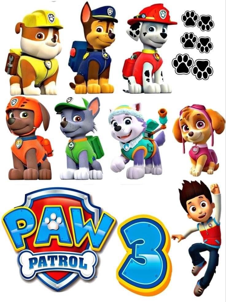 the paw patrol 3 characters are shown in various poses and sizes, with their name on them