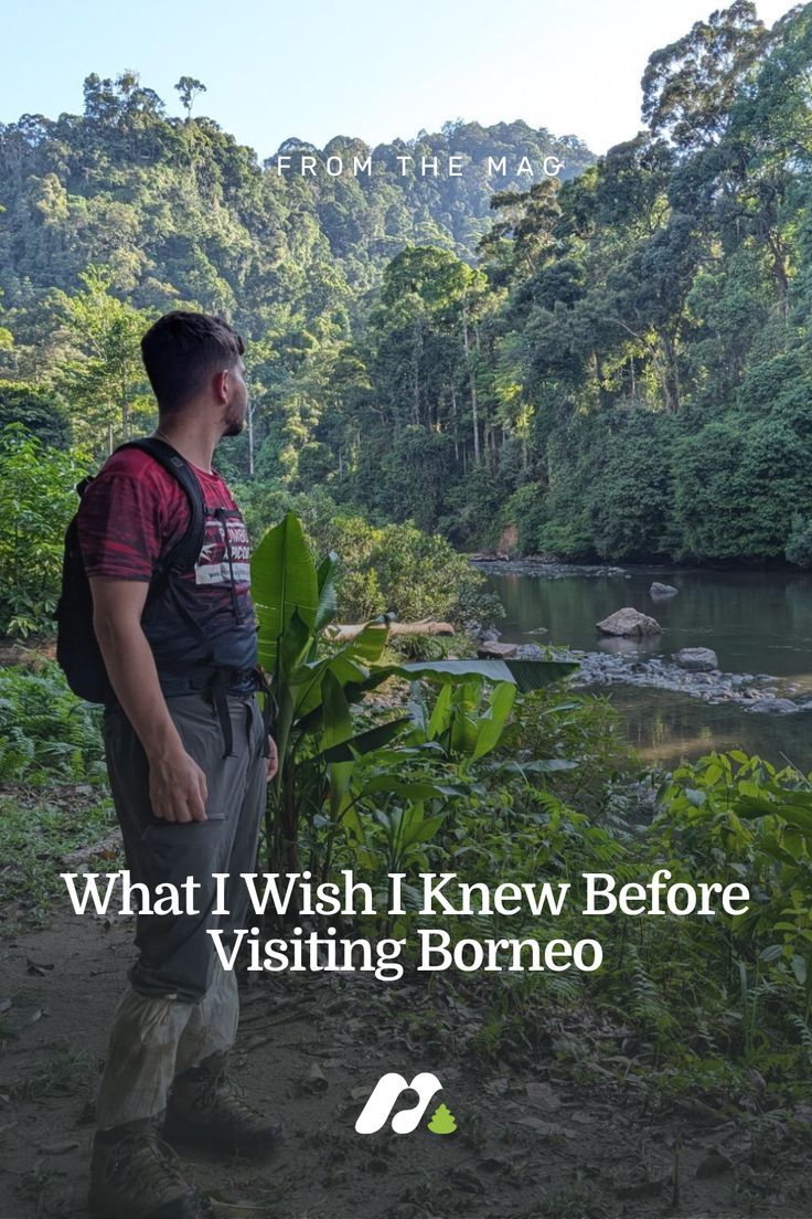 A male hiker in the rainforest of Borneo Borneo Travel, Travel Tips And Tricks, Packing Lists, I Wish I Knew, Day Hike, Nature Reserve, Top Tips, Us Travel, Where To Go