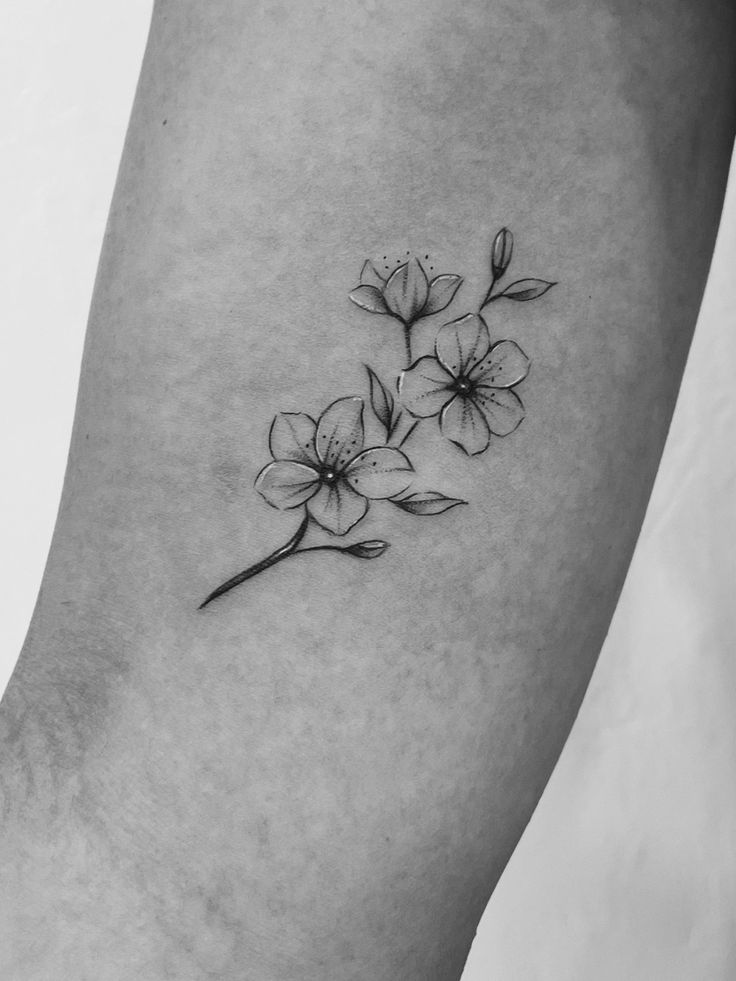 black and white cherry blossom tattoo on the right bicep Black Blossom Tattoo, Simplistic Cherry Blossom Tattoo, Cherry Blossom Tattoos Black And White, Cherry Blossom Branch Tattoo Black, Cheery Blossoms Tattoo Black And White, Black And White Ink Flower Tattoo, Black White Cherry Blossom Tattoo, Shaded Cherry Blossom Tattoo, One Cherry Blossom Tattoo