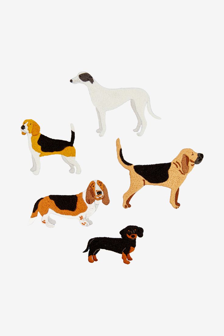 four dogs are standing in the same direction