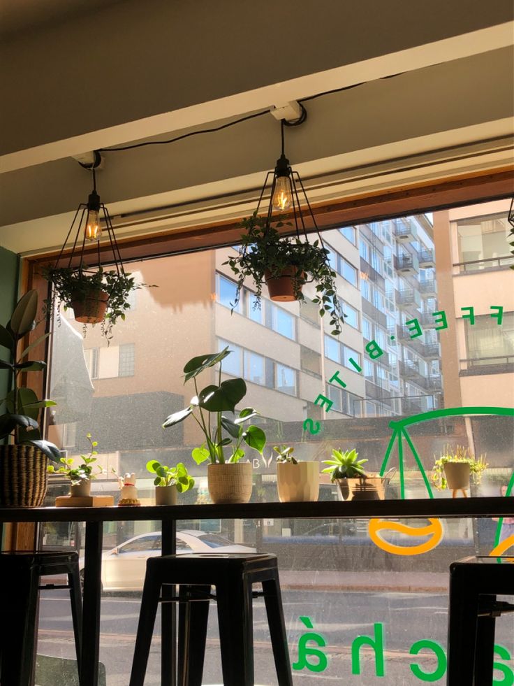 some plants are sitting on stools in front of a window