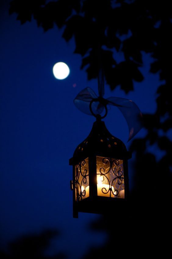 a lantern hanging from a tree with the moon in the background